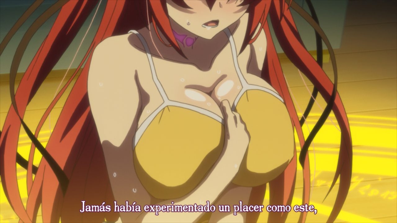 Shinmai Maou no Testament (Homika Subs, Shiroisora no Fansub)